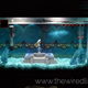 Illustration for article titled Watch A Super Mario Bros. Aquarium Get Built From Scratch